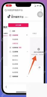 手机端创作服务平台自定义创建合集按钮