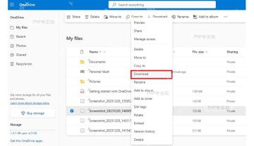 OneDrive 文件列表中选中 Word 文档并在菜单里定位下载入口
