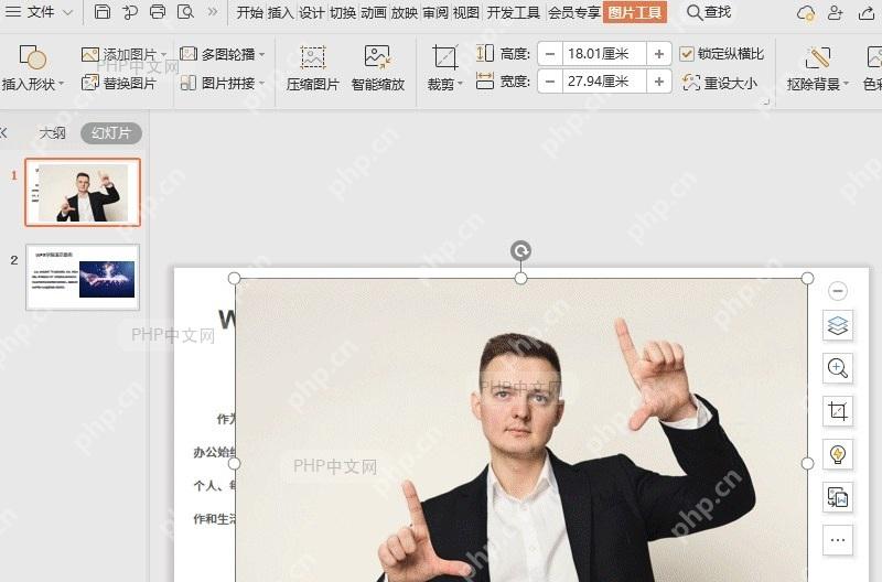 WPS稻壳功能 在线图片结果检查