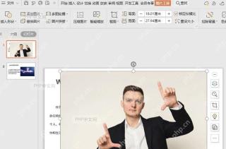 WPS稻壳功能 在线图片结果检查