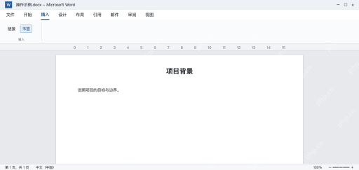 模拟 Word在项目背景处定位后打开插入书签入口