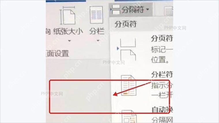 Word分隔符菜单中选择分节符下一页命令