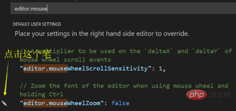 So implementieren Sie die Zoom-Schnittstelle in vscode