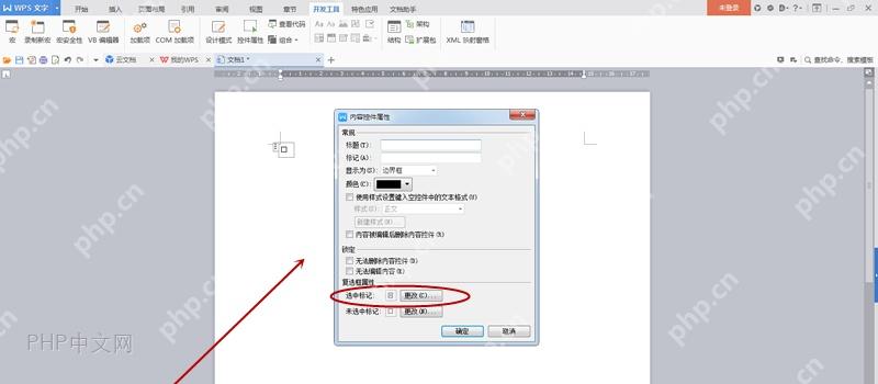 WPS 文字复选框窗体域属性窗口中的选中标记设置