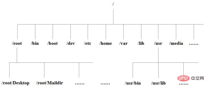 What is the directory where basic linux commands are stored?