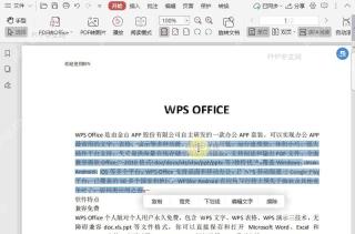 如何设置PDF文档中删除线的颜色?中间操作