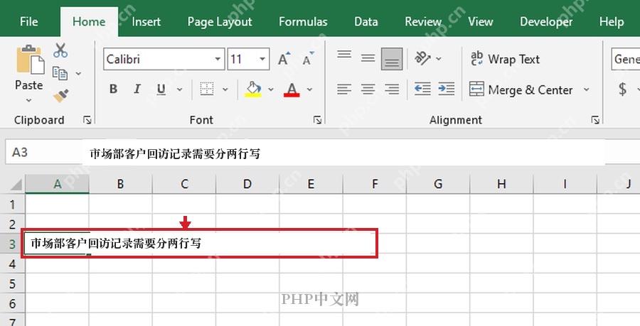 Excel 选中 A3 单元格并准备在客户回访记录中插入换行