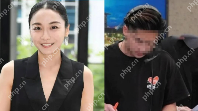 最新!涉嫌侵害知名女演员的男子被拘捕 - php中文网