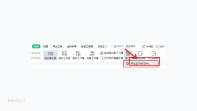 WPS 表格审阅选项卡中的共享和保护相关入口