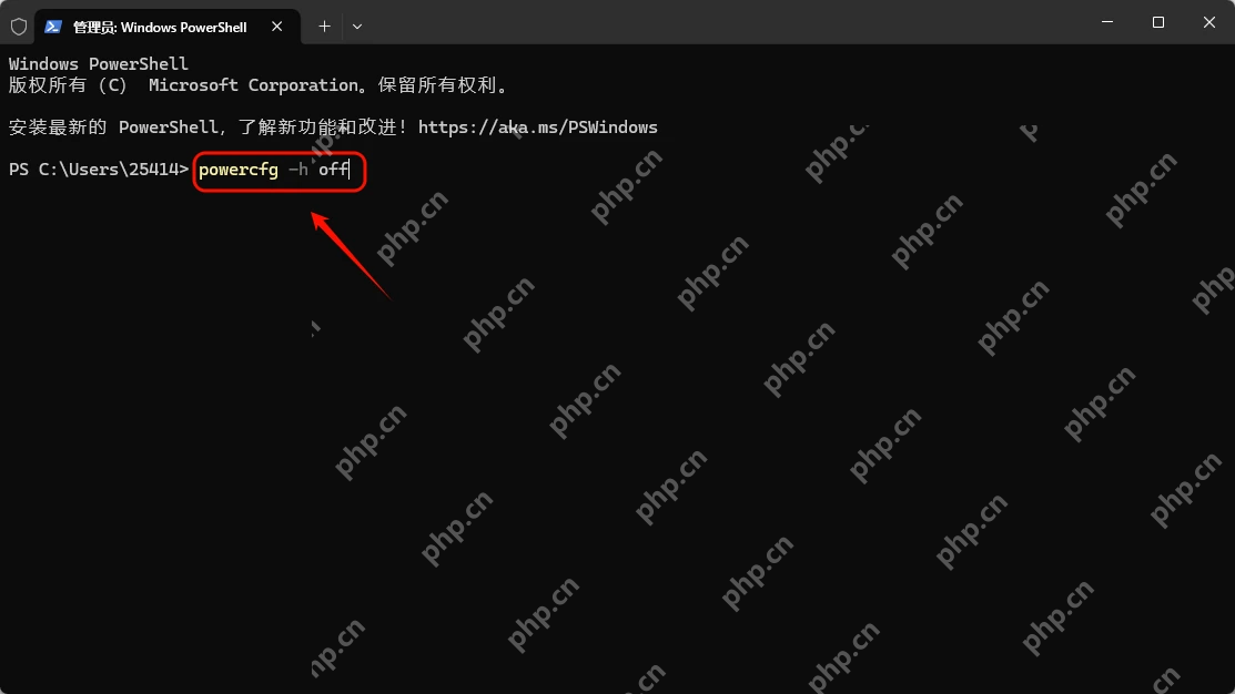 Win11 管理员 PowerShell 输入 powercfg -h off