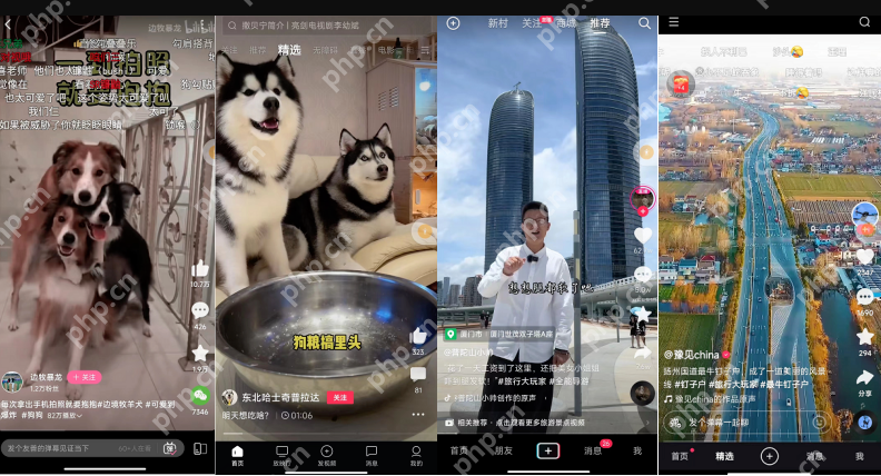 b站影视在线观看链接 b站影视视频手机在线观看入口 - php中文网