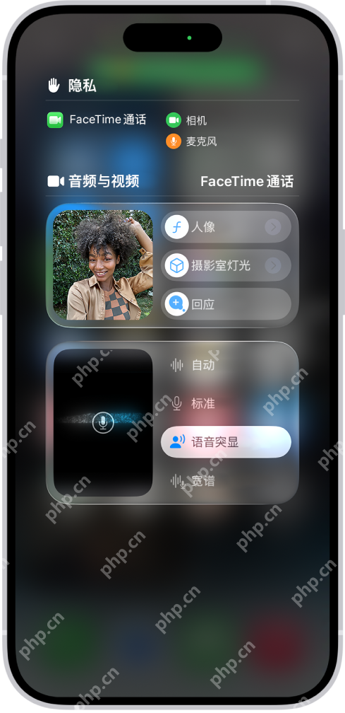 iPhone 控制中心在 FaceTime 通话时显示音频与视频面板和视频效果选项