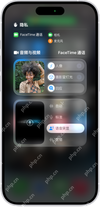 iPhone 控制中心在 FaceTime 通话时显示音频与视频面板和视频效果选项
