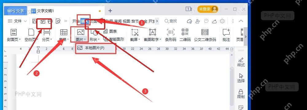 WPS 文字中选中文档图片后显示图片工具入口的步骤截图