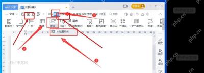 WPS 文字中选中文档图片后显示图片工具入口的步骤截图