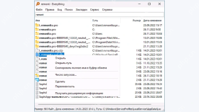 Everything 结果右键菜单中的 Delete - Everything怎么删除搜索到的文件 - php中文网