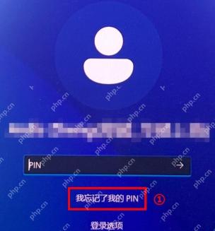 win11开机密码忘了怎么办_win11开机密码遗忘后的登录恢复指南 - php中文网