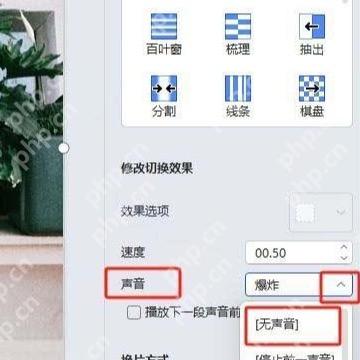 PPT切换速度和声音设置