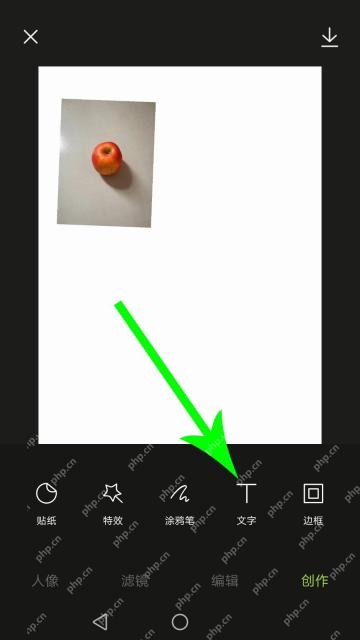 醒图app怎么给图片添加文字步骤图2