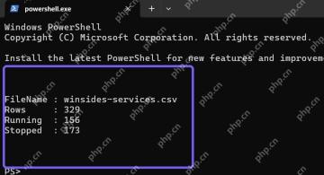 PowerShell 显示服务 CSV 导出的总行数和运行停止数量