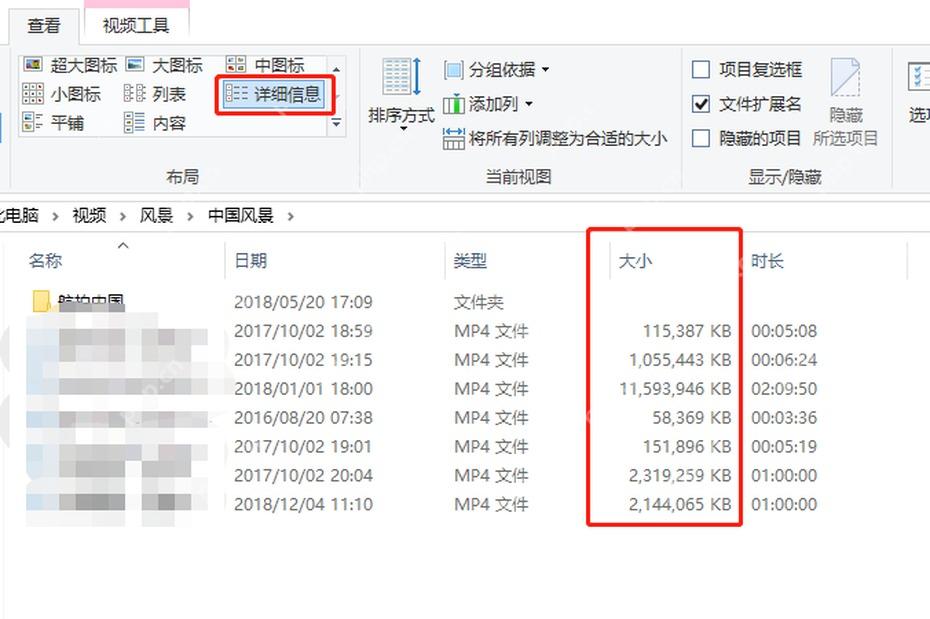 Win10 文件资源管理器详细信息视图按大小查看文件