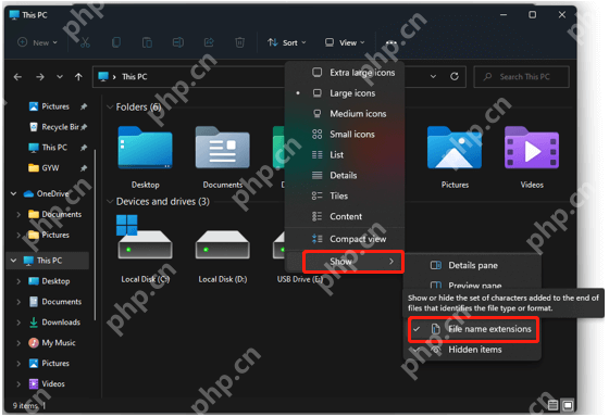 win11怎么显示文件扩展名_win11文件后缀名显示步骤 - php中文网