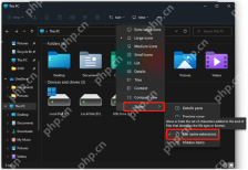 win11怎么显示文件扩展名_win11文件后缀名显示步骤 - php中文网