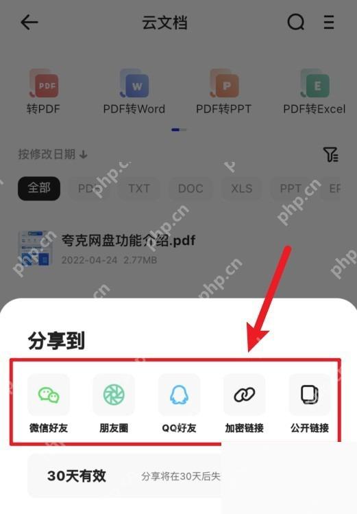 夸克分享到面板里的复制链接和公开链接入口