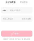 验证码登录的空手机号和验证码输入项