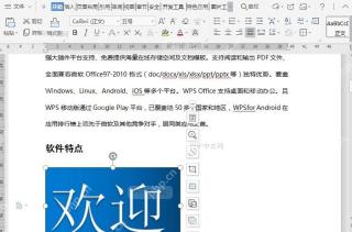 如何翻译文档图片中的文字内容?入口位置