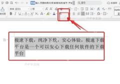WPS文字中选中文字并从开始选项卡打开字体窗口