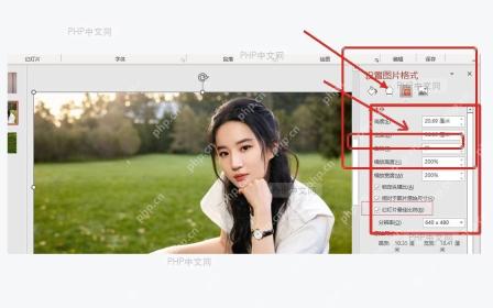 PowerPoint 设置图片格式窗格中检查锁定纵横比和分辨率