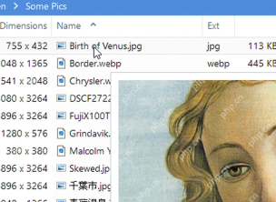 XYplorer 文件列表中的 Size 列