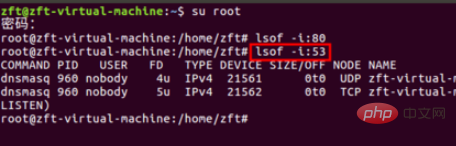 How to check whether a specified port is open in Linux