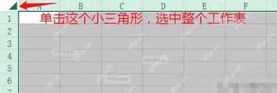 Excel工作表界面，A1单元格被选中显示绿色边框