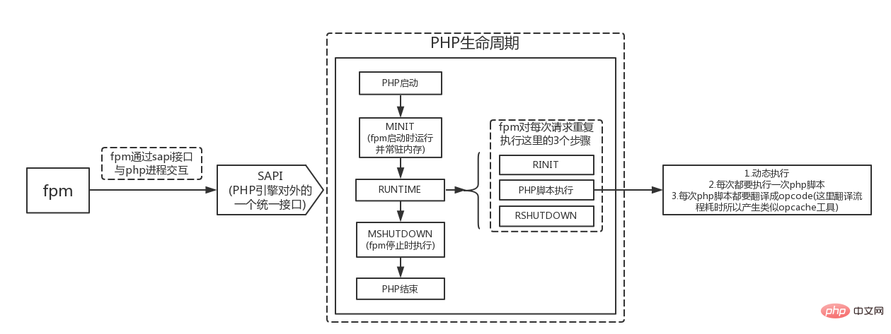 PHP ライフサイクルと fpm の仕組み