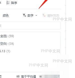 WPS 云文档筛选面板中查看筛选设置