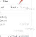 WPS 云文档筛选面板中查看筛选设置
