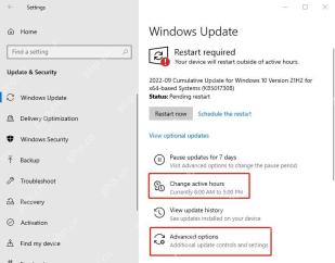 Win10 Windows 更新页面显示 Restart required 和高级选项入口