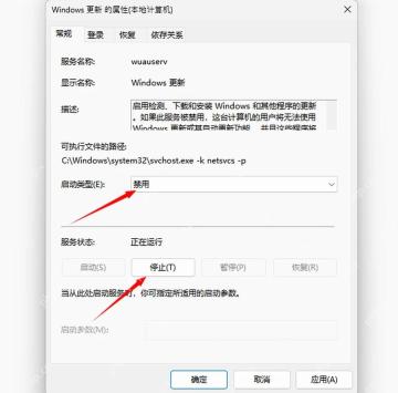 服务属性常规页显示启动类型和服务状态