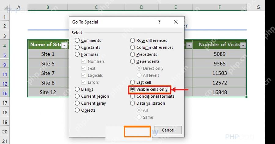 Excel 定位条件窗口中选择 Visible cells only,用于第二步只选可见单元格