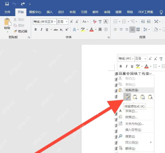 Word粘贴选项中选择保留源格式