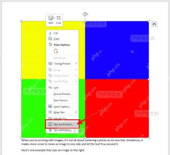 Word 文档中选中图片后右键菜单的 Size and Position 入口