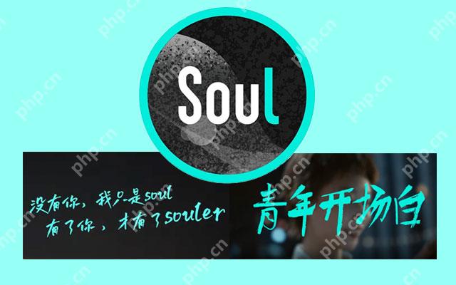 Soul实名认证卡住怎么办 Soul上传证件审核不通过是什么原因 - php中文网