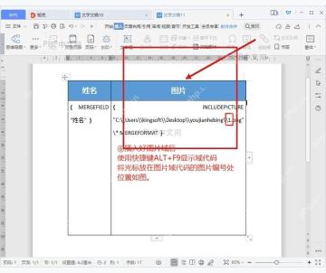 WPS 邮件合并后证件照按姓名批量显示在模板中