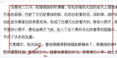Word 文档正文行距调整后的显示效果