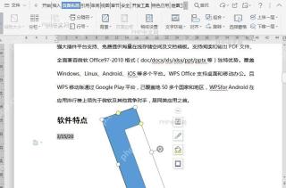 如何旋转文档中插入的对象?结果检查