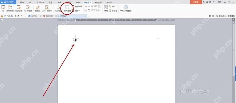 WPS 文档中插入复选框型窗体域后的方框位置
