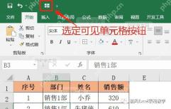 Excel 快速访问工具栏显示选定可见单元格按钮，适合确认自定义入口后再复制筛选可见数据