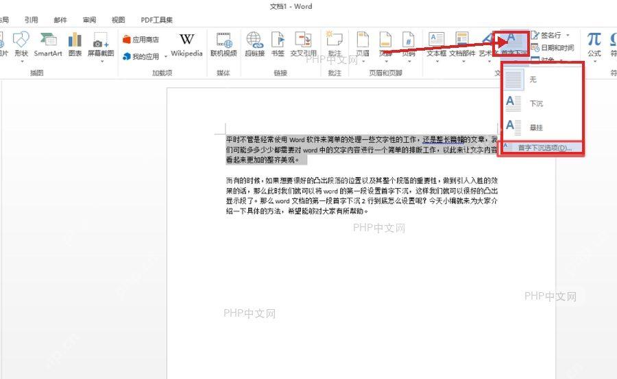 Word 插入区域附近的字体和样式入口示意